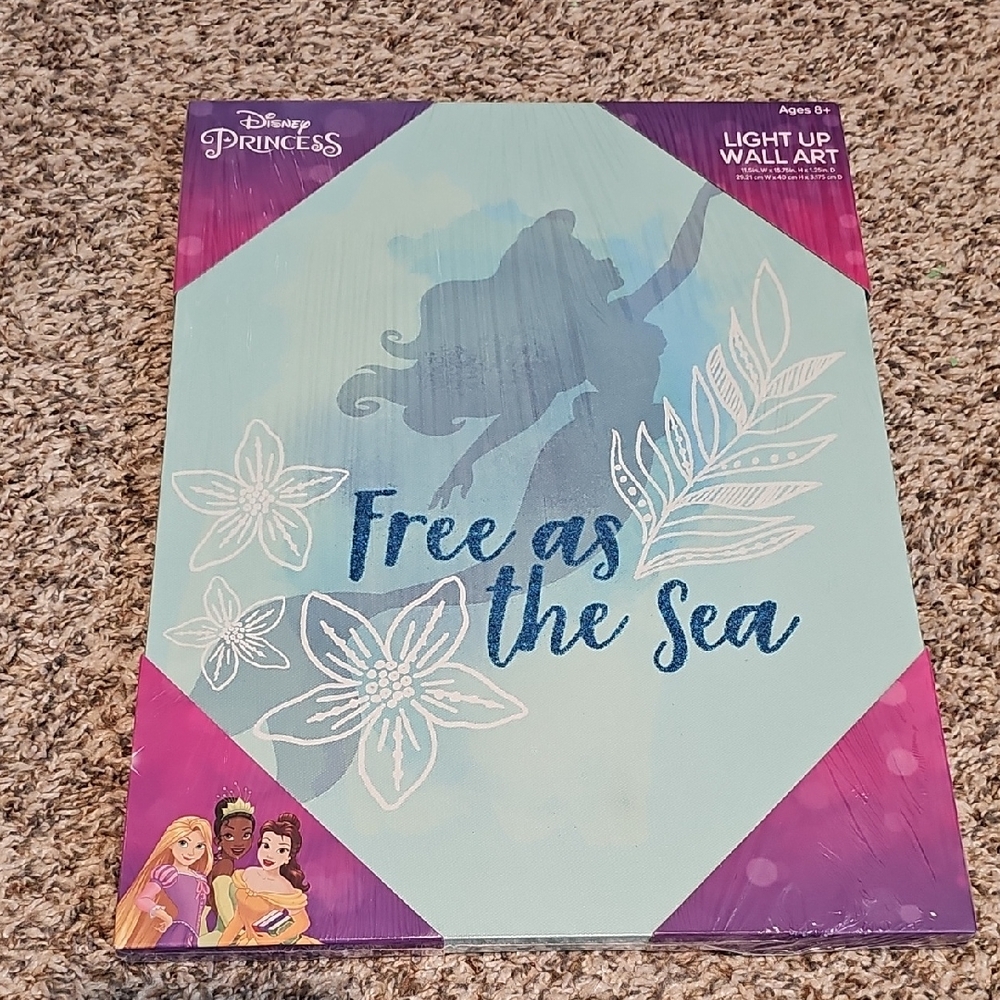 Disney Princess Ariel Canvas Wall Frame
